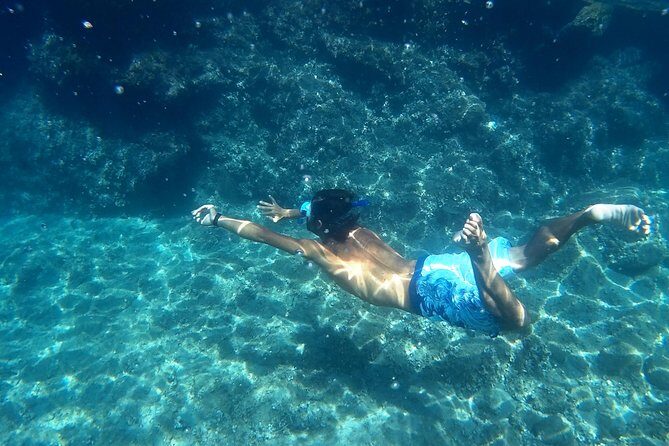 Amalfi Coast Kayak Tours from Marina del Cantone - Key things you’ll notice on the Jeranto paddle