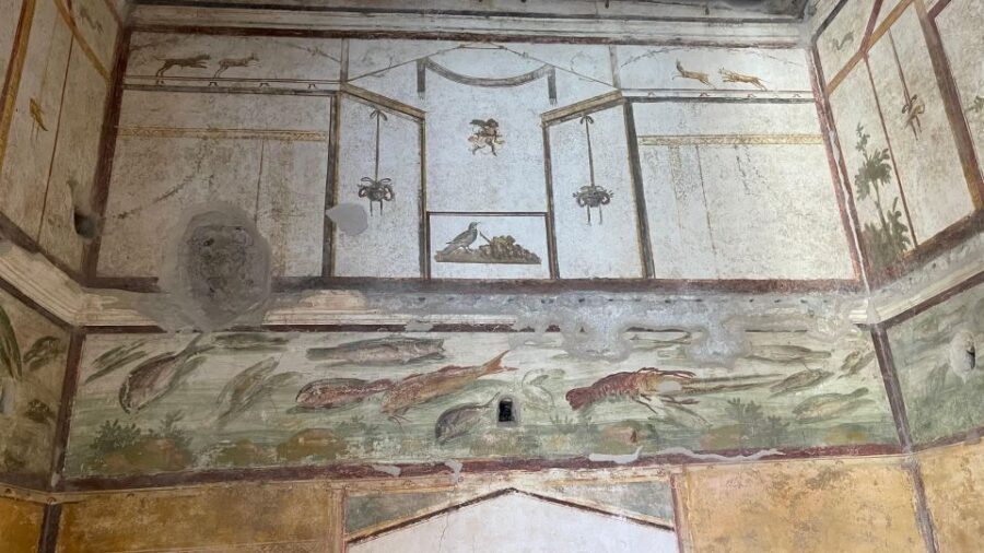 Amalfi Coast: Pompeii, Vesuvius, & Wine Tasting with Lunch - Timing and logistics: a full day that still feels organized
