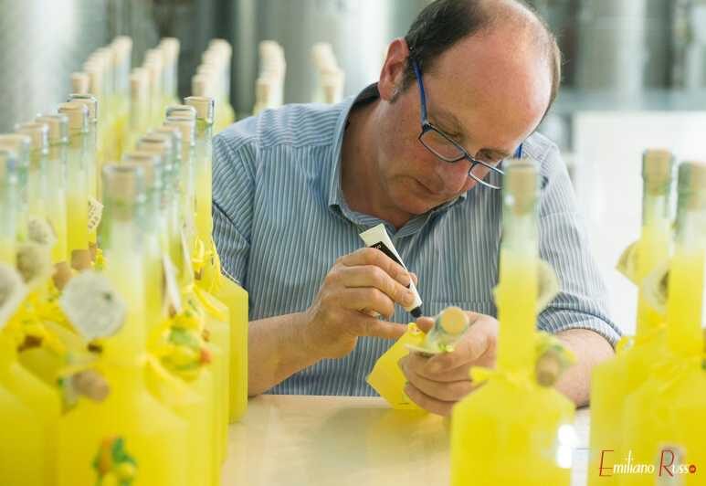 Amalfi: Vertical Lemon Farm Tour, Tastings, and Rural Museum - Lemons on vertical terraces: what makes this Amalfi farm walk different