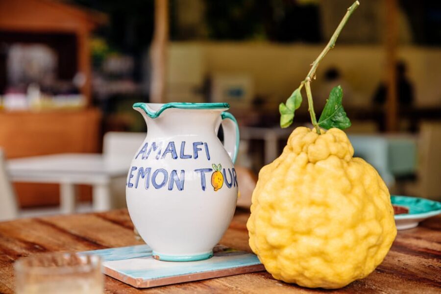Amalfi: Vertical Lemon Farm Tour, Tastings, and Rural Museum - Tastings and the limoncello laboratory: what you’ll try and how it’s made