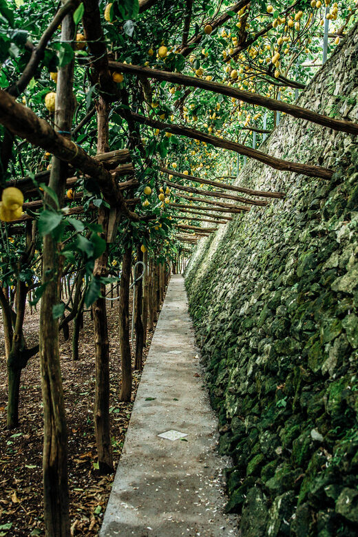 Amalfi: Vertical Lemon Farm Tour, Tastings, and Rural Museum - Stairs, shoes, and who this tour fits best