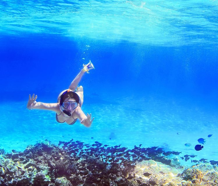 From Amalfi: Capri Island Boat Tour with Snorkeling & Drinks - Key Highlights You’ll Feel Immediately