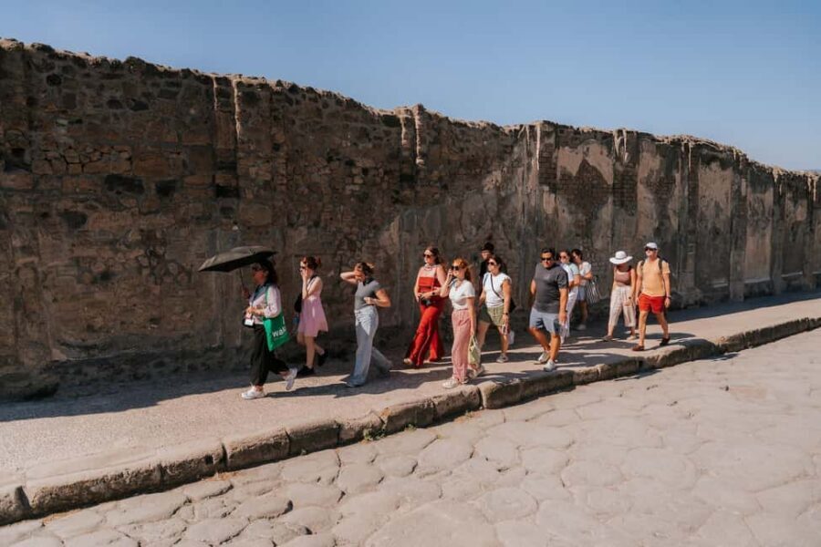 From Rome: Pompeii with Expert Guide & Amalfi Coast Day Trip - The Amalfi Coast drive: views, timing, and why the driver matters