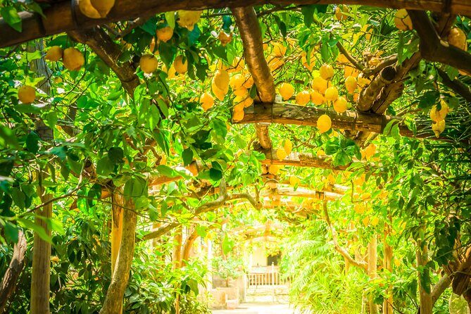 Hands-On Cooking Class & Farmhouse Tour on the Amalfi Coast - How hands-on is it, really?