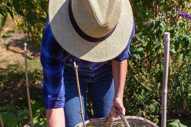 Hands-On Cooking Class & Farmhouse Tour on the Amalfi Coast - Price and value: what $156 buys you in Amalfi