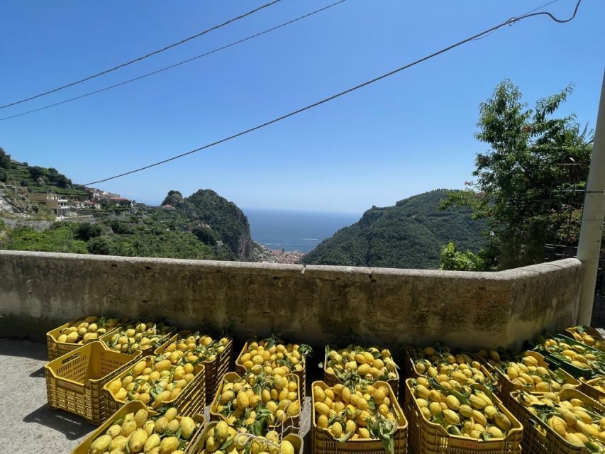 Maiori: Amalfi Coast Path of Lemons Day Trip with Tastings - Price and value: $59 buys guidance, views, and the main story
