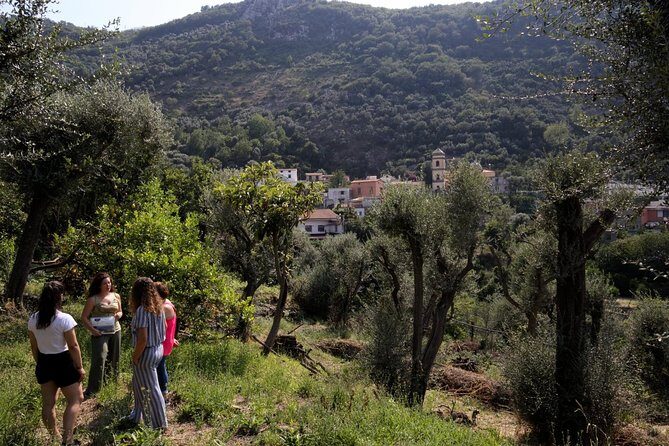 Olive oil tasting in Sorrento - How long it really takes and who it suits best