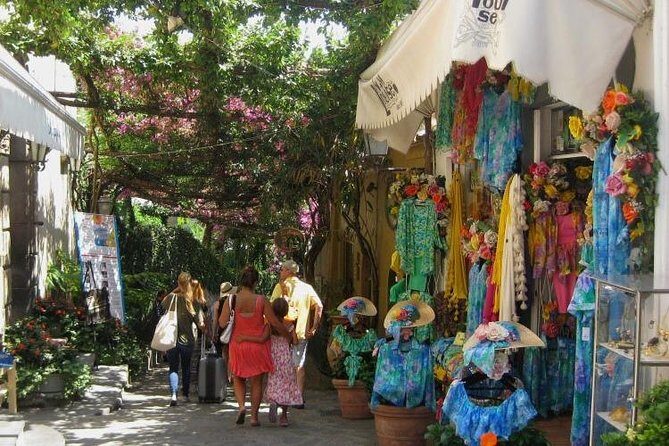 Shared Amalfi Coast by Minivan 8 pax Land Tour from Sorrento - The driver makes or breaks the vibe