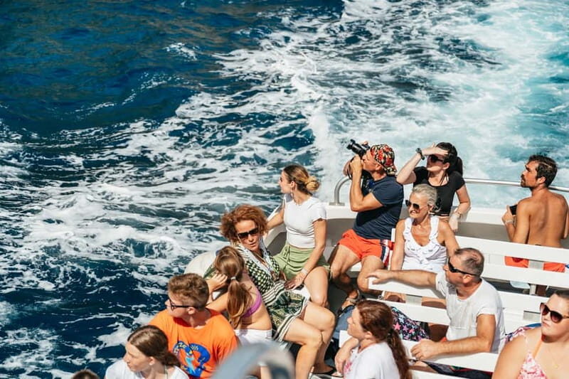 Sorrento: Coast and Capri Boat Trip with Limoncello Tasting - Optional swim stop at Marina Piccola: when it’s worth it